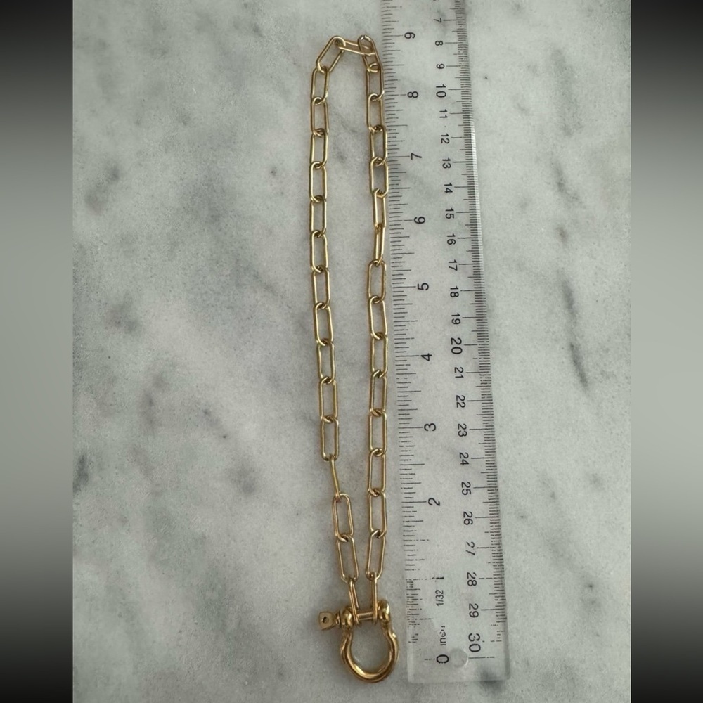 COPY - Gold Carabiner Clasp Charm Chain Link Necklace  

Brand New - Picture 3 of 4